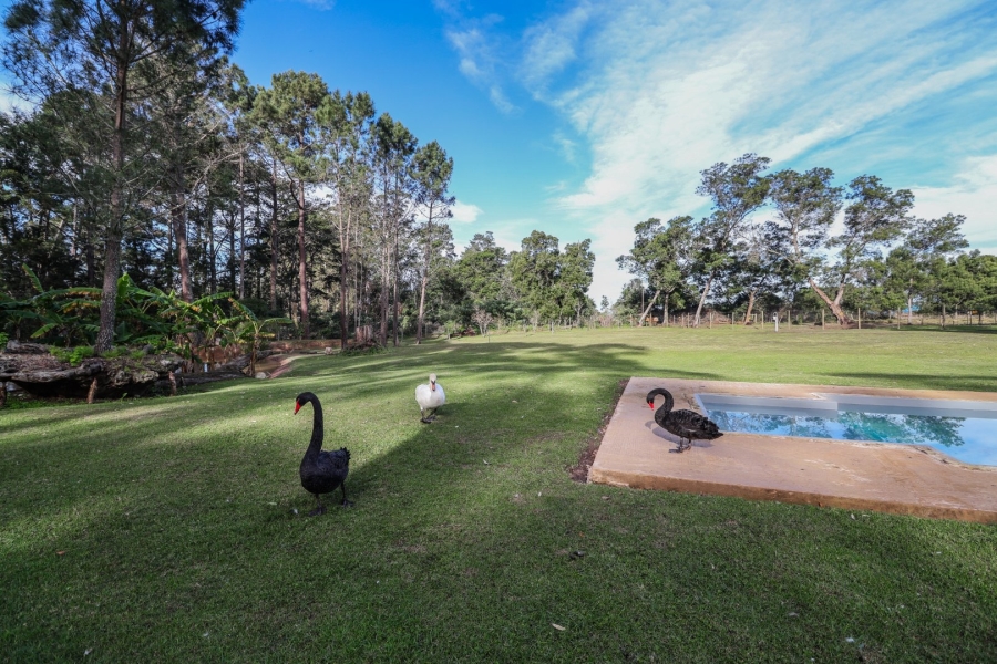  Bedroom Property for Sale in Plettenberg Bay Rural Western Cape